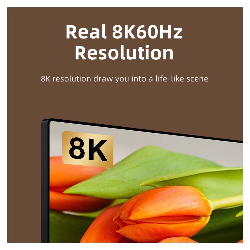 USB C to DisplayPort 2.1 8K 60Hz Adapter for IPad Pro MacBook PC